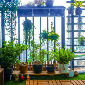 济南市天桥区 家政保洁  绿植造景 阳台花园 ·基础版 ￥1500起·定金
